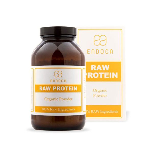 endoca hemp protein powder 1